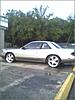 my pig noise coupe-coupe2.jpg