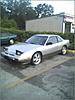 my pig noise coupe-coupe4.jpg