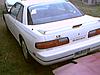 just got her...-image013.jpg