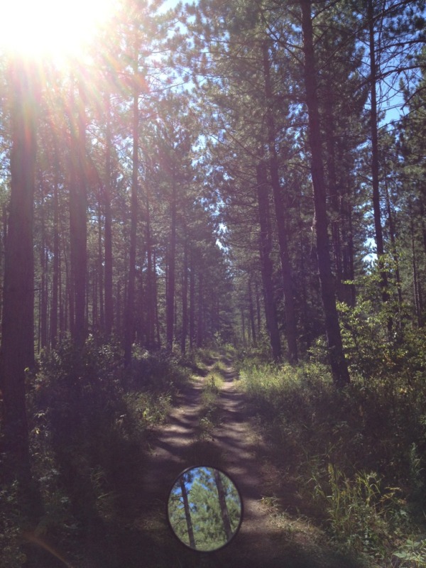 Name:  C38808B5-8048-42A7-BA72-E2FB78B71265-5761-0000021BA3632518.jpg
Views: 96
Size:  149.9 KB