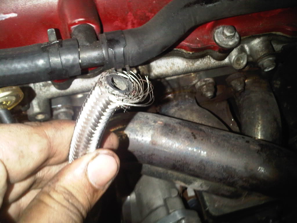 Name:  IMG00135-20100730-1405.jpg
Views: 133
Size:  108.2 KB