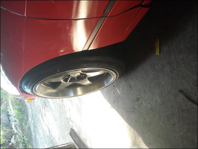 Name:  DSCN1049.jpg
Views: 17
Size:  57.7 KB