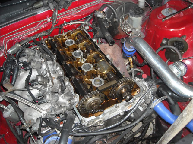 Name:  DSCN1031.jpg
Views: 16
Size:  140.0 KB