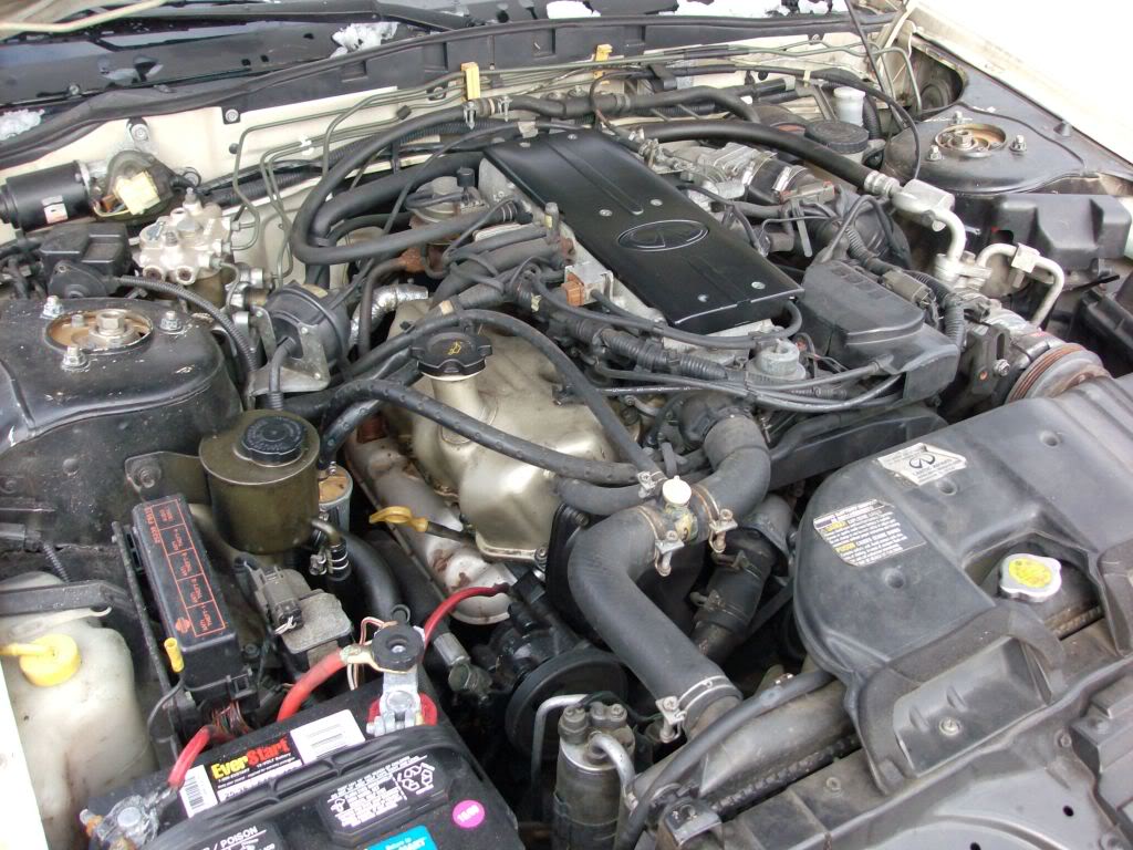 Name: HPIM1556.jpg
Views: 49
Size: 164.0 KB