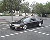Who chased me down Lemon Ave. in Walnut??!-raine_s14.jpg